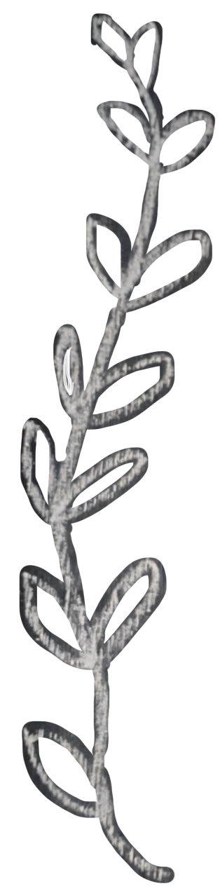 枠