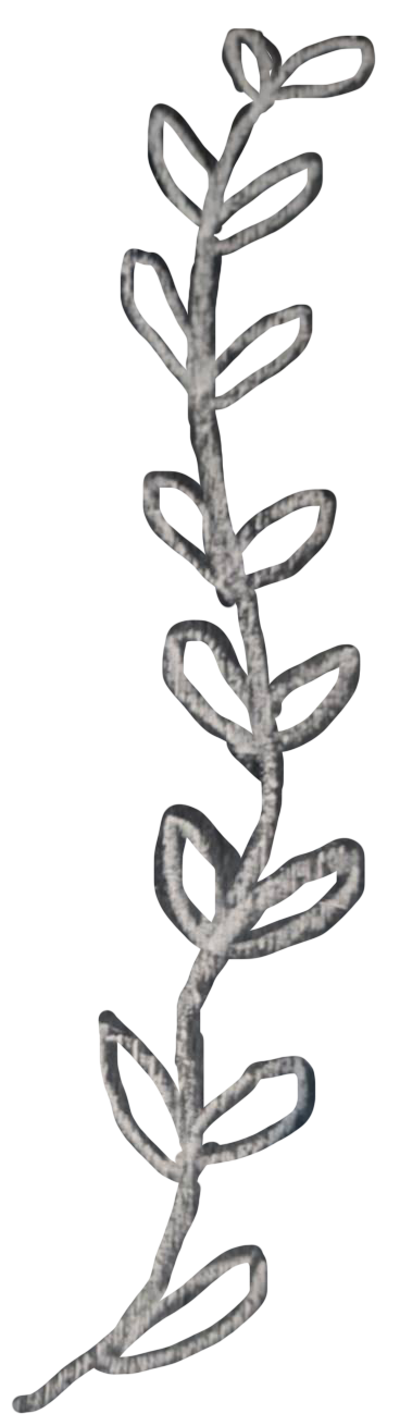 枠